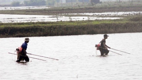 Sử dụng kích điện hoặc dòng điện để khai thác thủy sản là hành vi trái pháp luật (Ảnh minh họa)