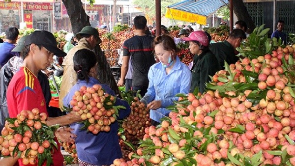 Nông sản phía Bắc vào chính vụ tiêu thụ