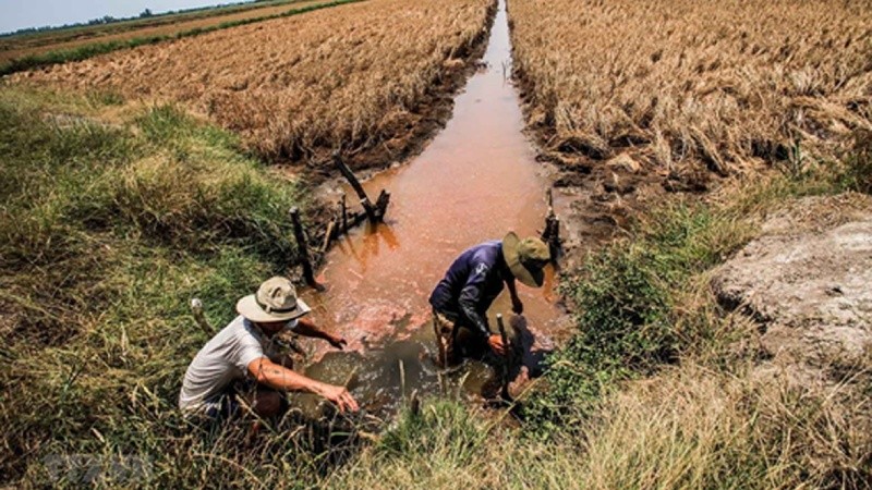 Người dân Đồng bằng sông Cửu Long chủ động chống hạn, xâm nhập mặn