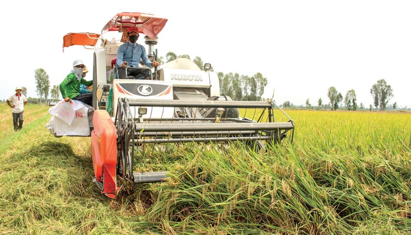 Ngành nông nghiệp vẫn khẳng định vai trò trụ cột trong nền kinh tế.