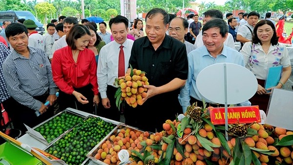 Vải thiều Thanh Hà là một sản phẩm nông nghiệp nổi tiếng.