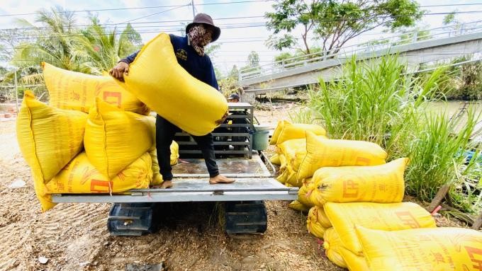 Việc tổ chức thu mua, vận chuyển lúa thời gian qua tại Đồng bằng sông Cửu Long hết sức khó khăn. (Ảnh: TL)