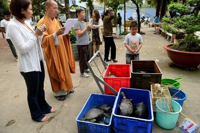 Nhu cầu phóng sinh giải hạn, cầu may đầu năm khiến người dân mua rùa nhiều hơn.