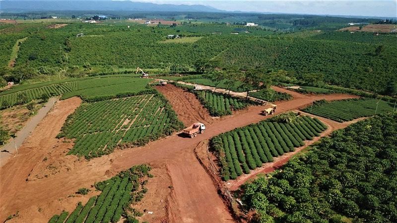 Tình trạng tự ý mở đường, sử dụng đất sai mục đích ở Di Linh bị đánh giá còn phức tạp. 