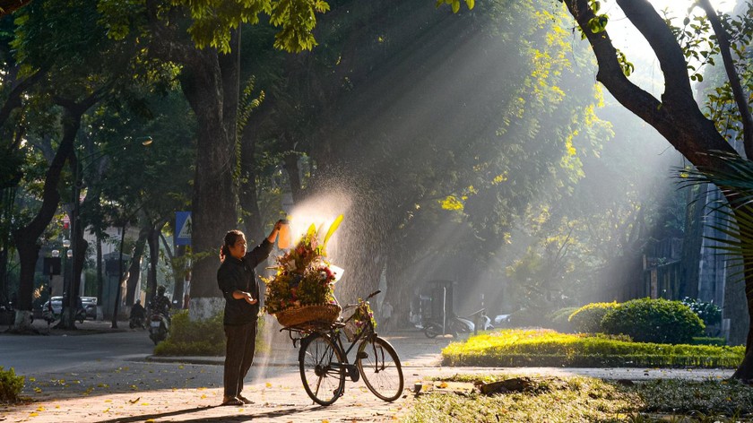 Đường Phan Đình Phùng tuyệt đẹp khi vào mùa thu.