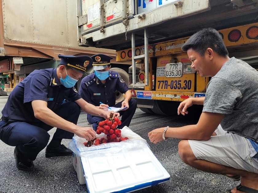 Vải thiều được kỳ vọng sẽ xuất khẩu tăng trưởng. (Ảnh: Vải thiều làm thủ tục thông quan tại Cửa khẩu Tân Thanh)