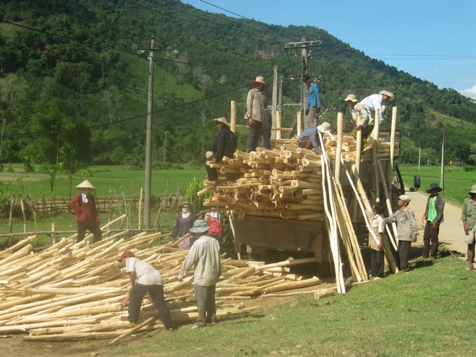 Doanh nghiệp ngành gỗ đang gặp khó khăn trong việc hoàn thuế.