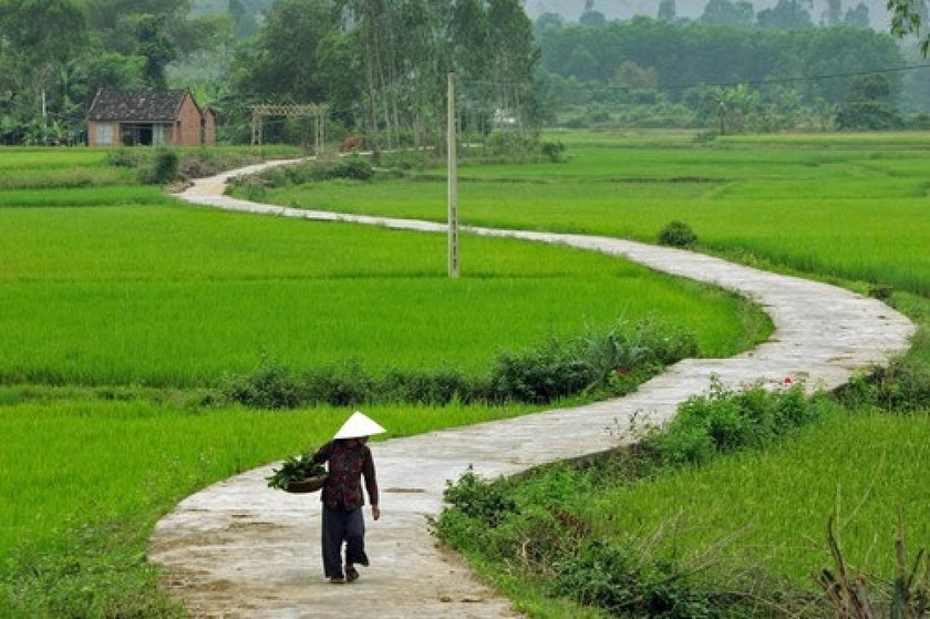 Quê hương nằm trong mỗi bước chân.