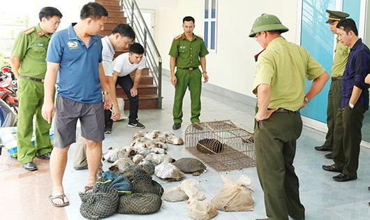 Số động vật hoang dã được phát hiện trên xe khách