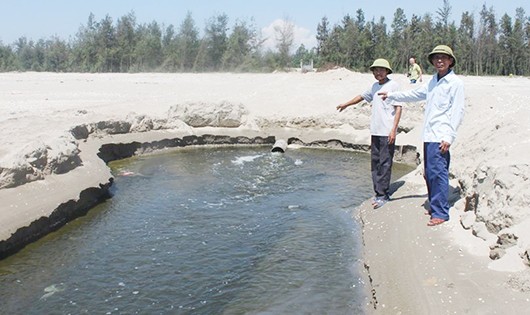 Hồ nuôi tôm Cty Tiến Đạt xả thải ra môi trường thông số vượt 10 lần so với quy định. 