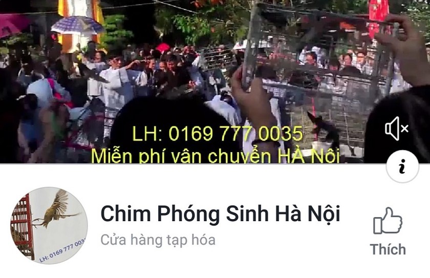 Chim phóng sinh bây giờ được rao bán trên mạng