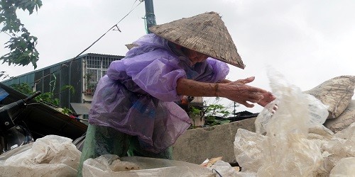 Bà Nguyễn Thị Phải trong cuộc mưu sinh.