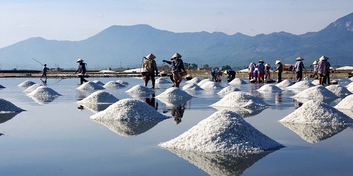 Cánh đồng muối Sa Huỳnh.