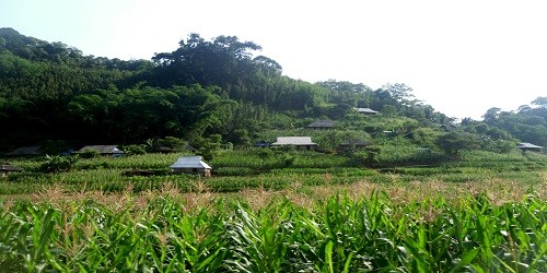 Bản làng nơi đây vẫn còn hoang sơ và chưa có điện.