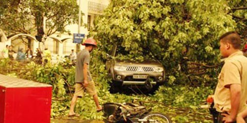 Hiện trường mưa giông giật đổ cây làm chết người ở Hà Nội. Ảnh: VOV.
