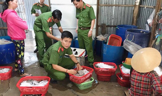 Ập vào hai cơ sở mua bán tôm, cảnh sát bắt giữ hàng chục công nhân đang bơm tạp chất vào tôm. Ảnh: Hiếu An.