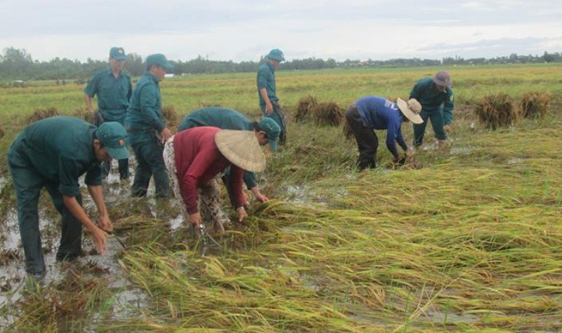 Ảnh minh họa: Dân trí.