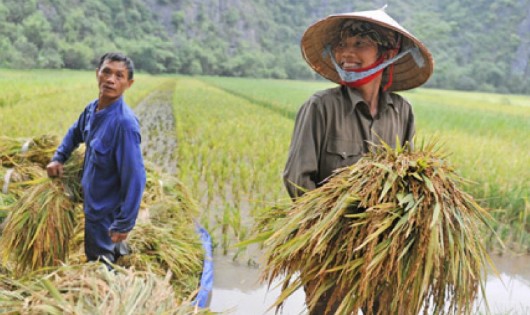 Xin cho biết mức đóng BHXH hàng tháng đối với nông dân?