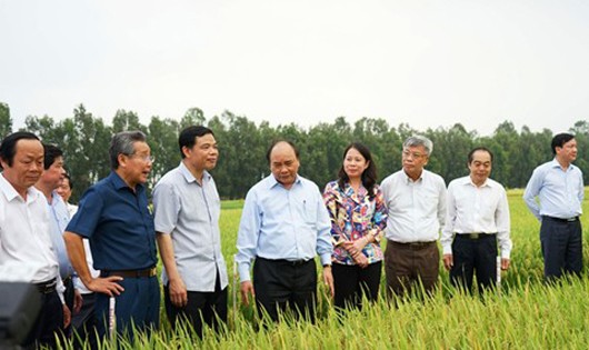 Thủ tướng đối thoại với nông dân 