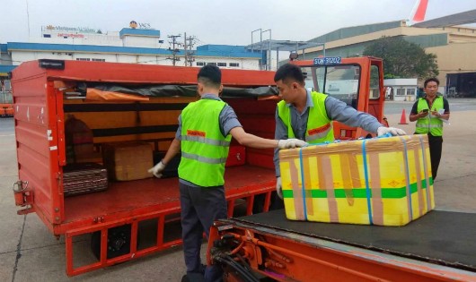 Ban Lãnh đạo Jetstar Pacific yêu cầu các trung tâm, đơn vị tăng cường công tác giám sát, tổ chức bảo đảm bốc xếp đúng quy trình