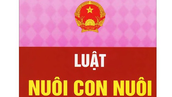 Muốn nhận người 20 tuổi làm con nuôi, thủ tục thế nào?