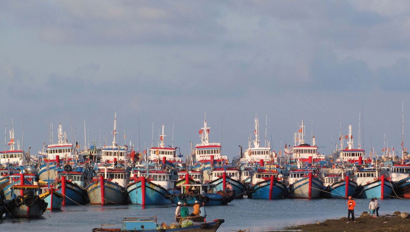 Hội Người đi biển Việt Nam lên án hành vi của nhóm tàu Trung Quốc trên Biển Đông