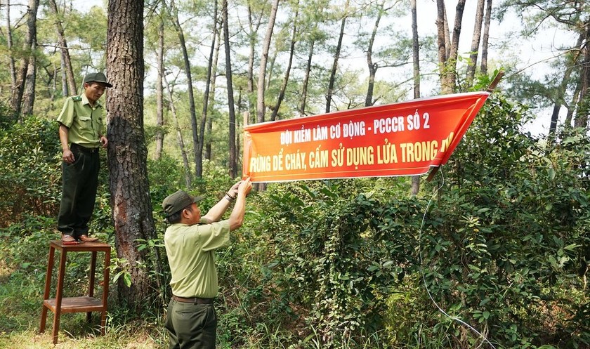 Ảnh minh họa từ Chinhphu.vn