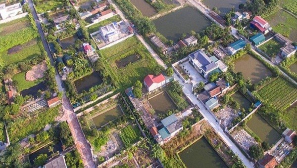 Toàn cảnh 11,8ha đất nông nghiệp bị “hô biến” thành đất thổ cư