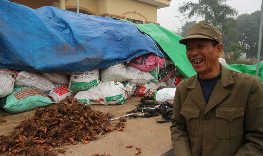  Ông Hà Minh Tân phấn khởi chia sẻ về câu chuyện trồng giống nghệ mới theo hướng nông nghiệp sạch