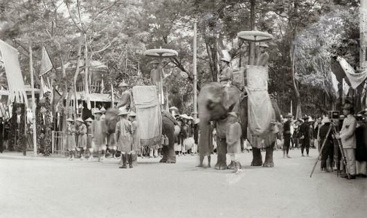  Lực lượng tượng binh trong lễ tế Nam Giao năm 1924