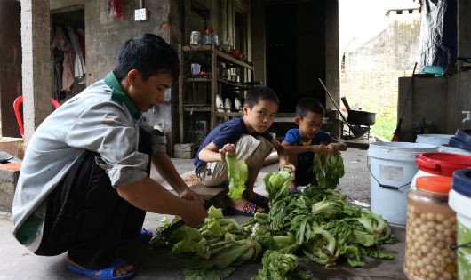 Cuộc sống của ba bố con anh Văn hiện rất khó khăn.