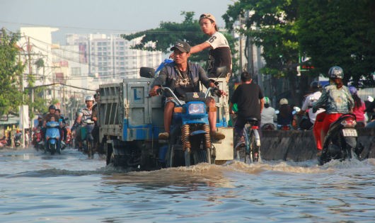 Hình minh họa