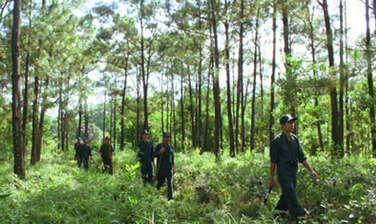 Hình minh họa