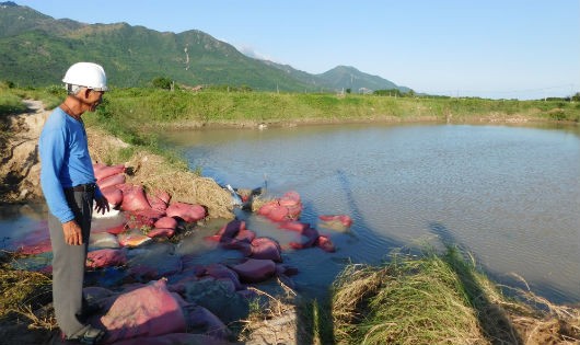 Đìa bị vỡ được người dân dùng bao chắn lại, nhưng lũ chồng lũ nên người dân đành bất lực.