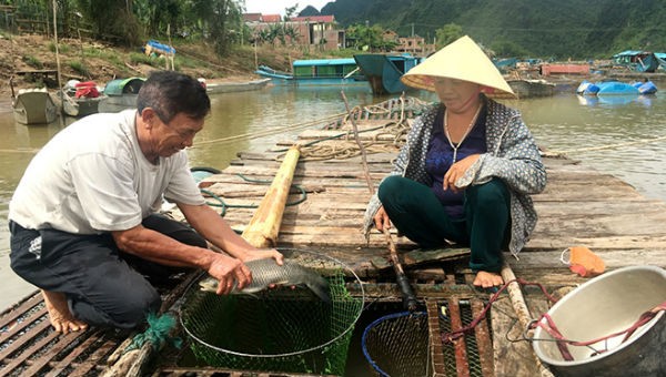 Nghề nuôi cá lồng trên sông Son phục vụ khách du lịch