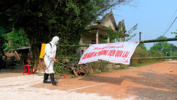 Rải vôi, tiêu độc, khử trùng ở vùng dịch để hạn chế lây lan