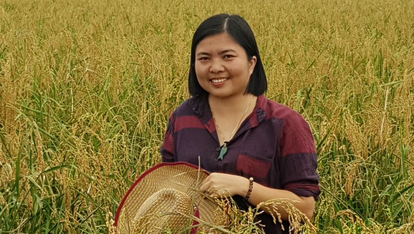 Chị Oanh bên giống lúa nếp năng suất cao tại ruộng rươi chuẩn bị thu hoạch