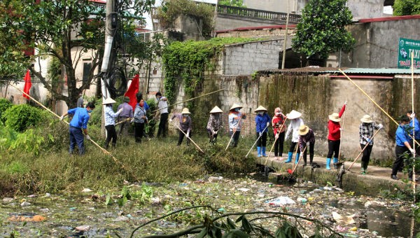 Hình minh họa