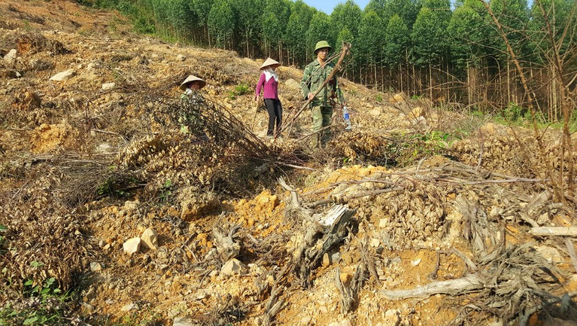 Tình trạng tranh chấp, lấn chiếm đất đai có nguồn gốc từ nông, lâm trường vẫn còn xảy ra. (Hình minh họa)