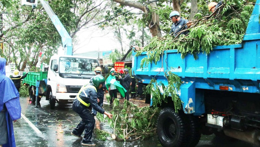 Cắt nhánh, tỉa cành cây tại TP HCM để tránh gây nguy hiểm trong mùa mưa bão. 