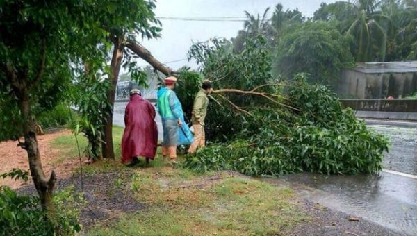 Nhiều cây cối bị gãy đổ do ảnh hưởng của bão.