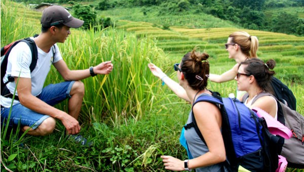 Hướng tới du lịch bền vững