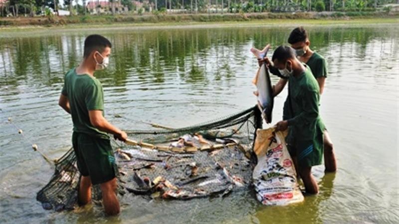 Các đơn vị trồng rau xanh, nuôi lợn, thả cá, bảo đảm bữa ăn hàng ngày. Ảnh: Thế Anh