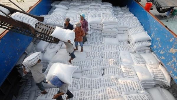 Doanh nghiệp bị kẹt hàng trăm nghìn tấn gạo không xuất khẩu được vì cách điều hành giật cục, thiếu phối hợp của cơ quan quản lý.