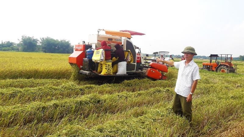 Chủ máy gặt buồn bã khi lần đầu tiên về gặt tại địa phương đã bị kẻ xấu đặt bẫy phá máy gặt.