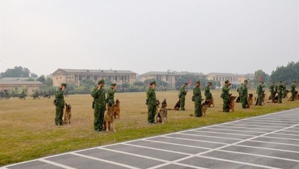 Giờ huấn luyện của huấn luyện viên và chó nghiệp vụ Trường Trung cấp 24 Biên phòng. Ảnh: Khuất Huy