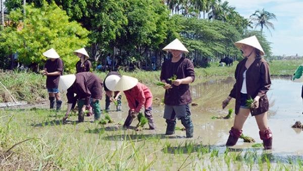 Bỏ ngỏ thế mạnh du lịch hướng về nông thôn?