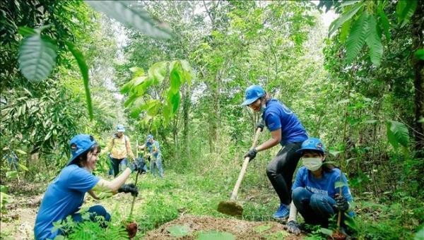 Đẩy mạnh trồng rừng cũng là gìn giữ, bảo vệ môi trường sống của con người. Ảnh minh họa.