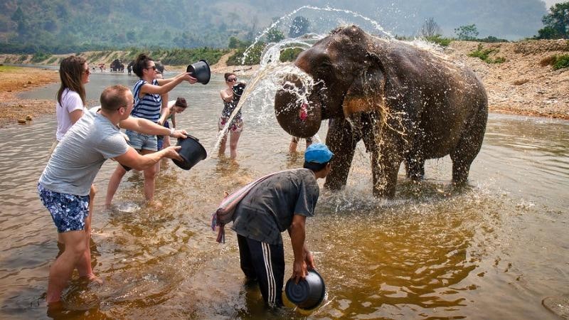 Tắm voi là một trong những hình thức du lịch được khuyến khích phát triển.