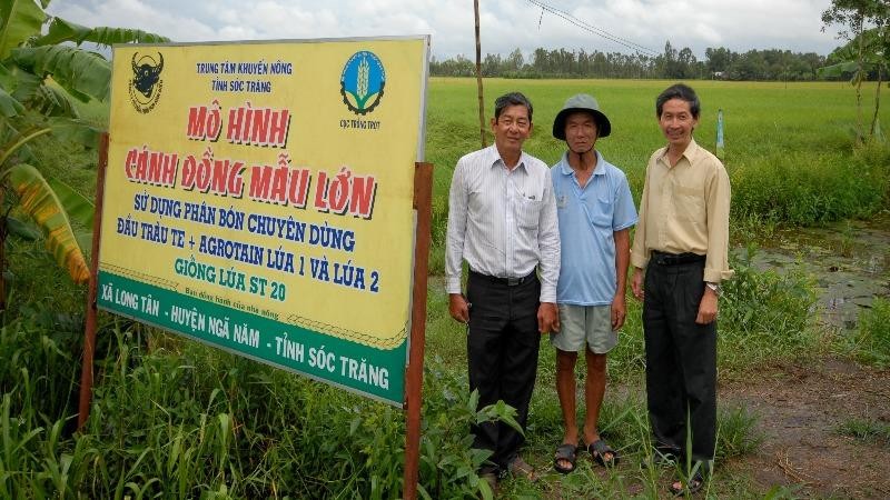 Kỹ sư Hồ Quang Cua (ngoài cùng bên trái) tham quan các mô hình cánh đồng mẫu lớn trồng giống lúa ST20.
